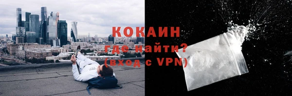 прущие грибы Баксан