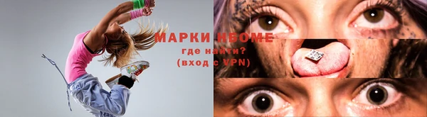 прущие грибы Баксан