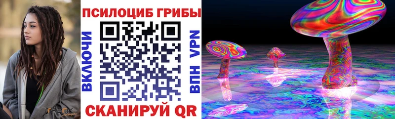 как найти закладки  Семилуки  KRAKEN вход  Псилоцибиновые грибы Psilocybe 
